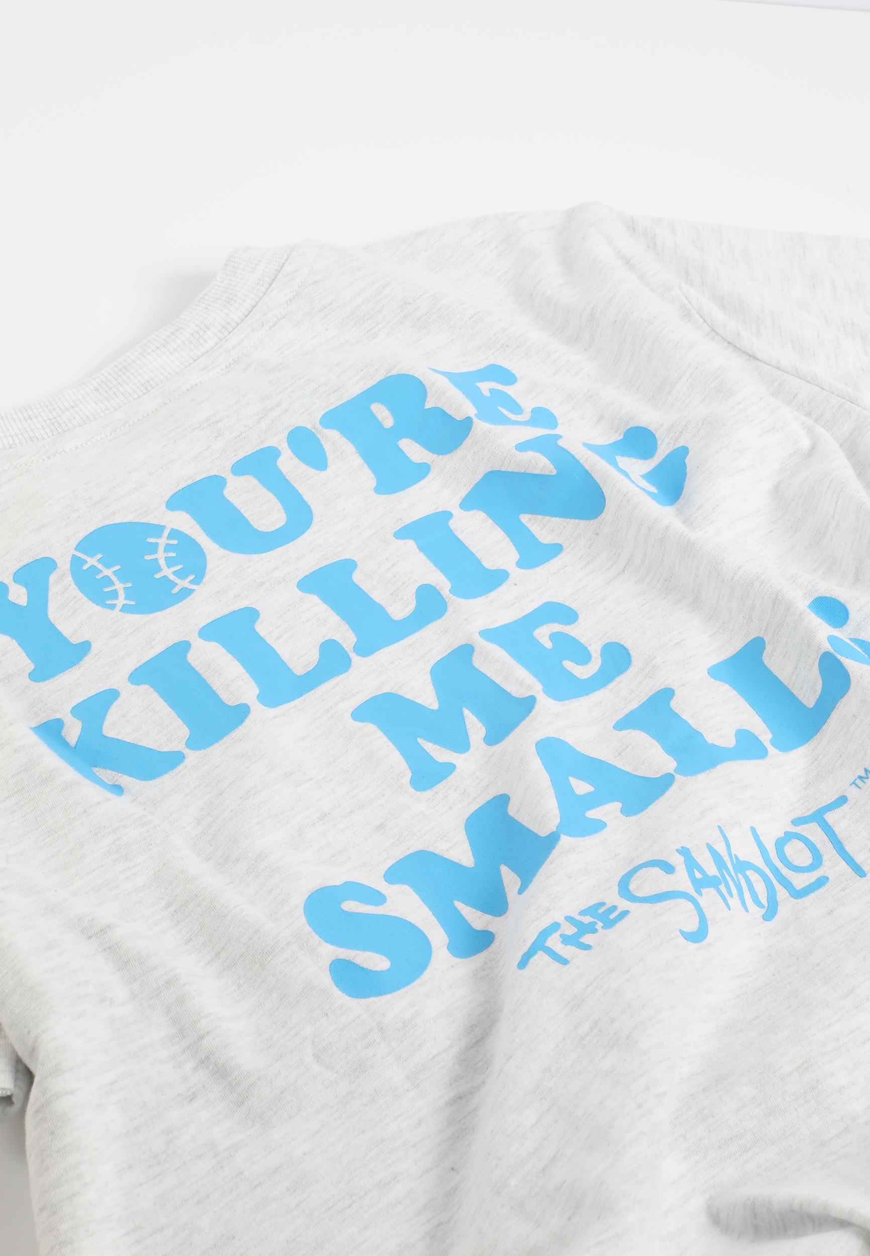 Sandlot Oversized Fit Graphic Tee, LIGHT HEATHER GRAY, large