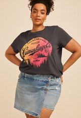 Plus Size Leinenkugels Brewing Company Classic Fit Graphic Tee, C1876, small