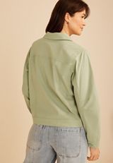 Poplin Jacket, C201, small