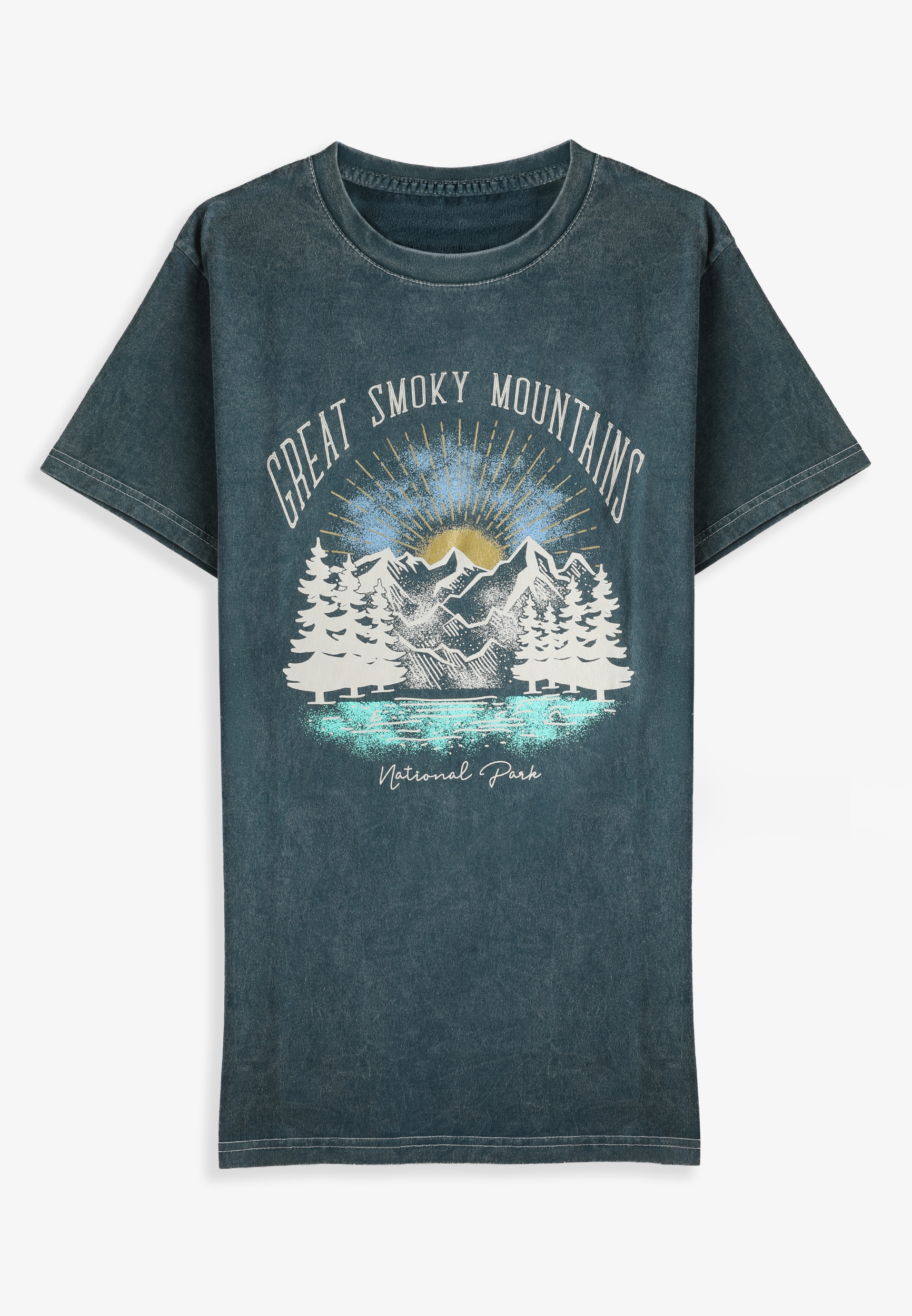 Plus Size Great Smoky Mountains Standard Fit Graphic Tee, C180, large