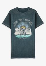 Plus Size Great Smoky Mountains Standard Fit Graphic Tee, C180, small