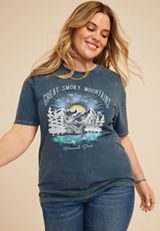 Plus Size Great Smoky Mountains Standard Fit Graphic Tee, C180, small