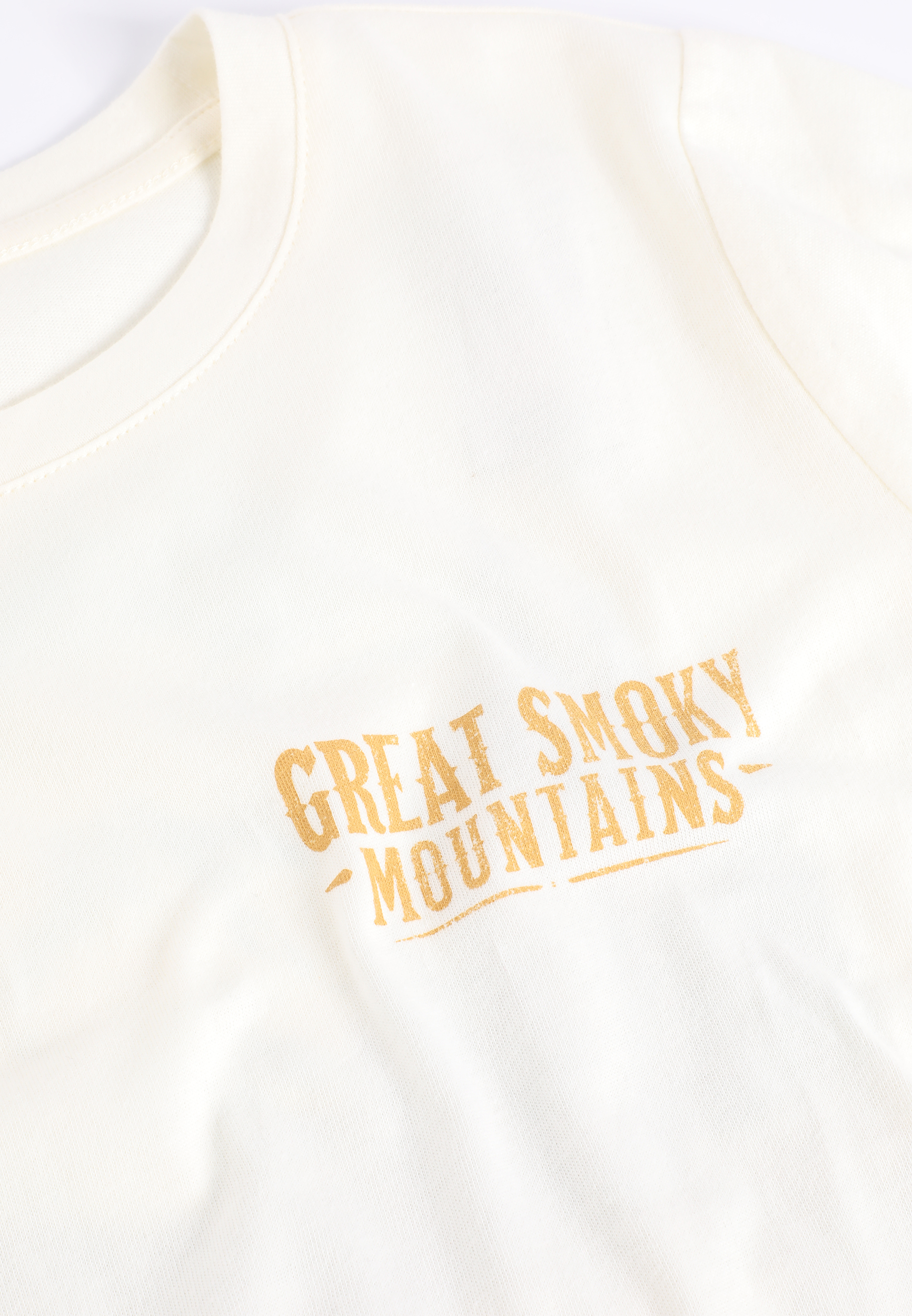 Great Smoky Mountains Classic Fit Graphic Tee, C2789, large