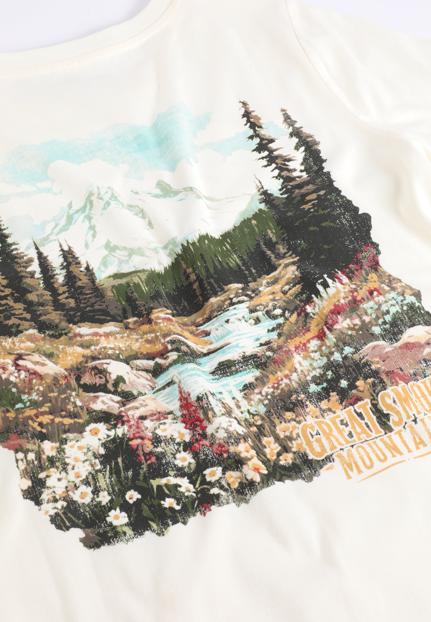Great Smoky Mountains Classic Fit Graphic Tee, C2789, large