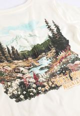 Great Smoky Mountains Classic Fit Graphic Tee, C2789, small