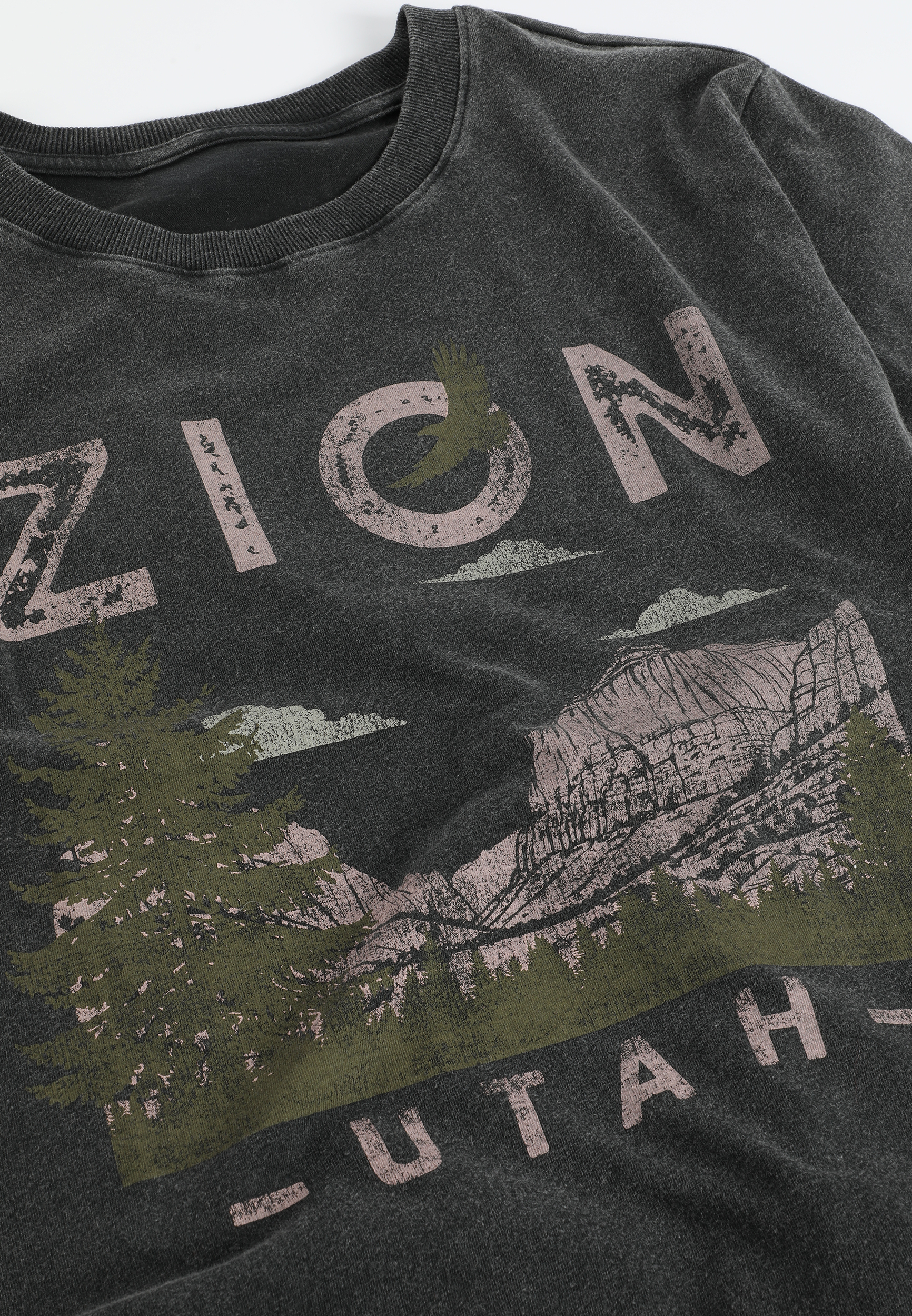 Zion Utah Classic Fit Graphic Tee, C106, large