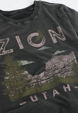 Zion Utah Classic Fit Graphic Tee, C106, small
