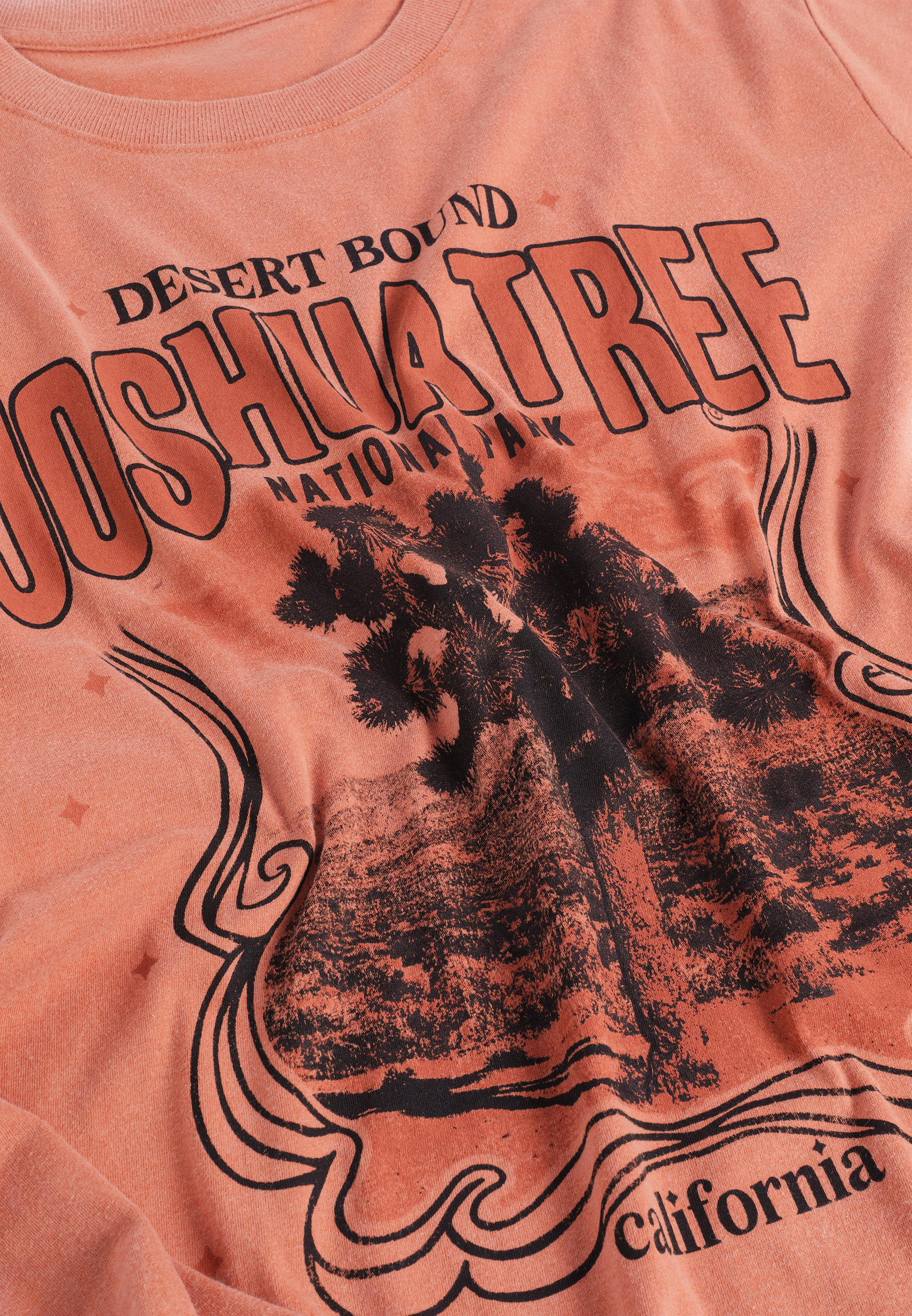 Plus Size Joshua Tree National Park Oversized Fit Graphic Tee
