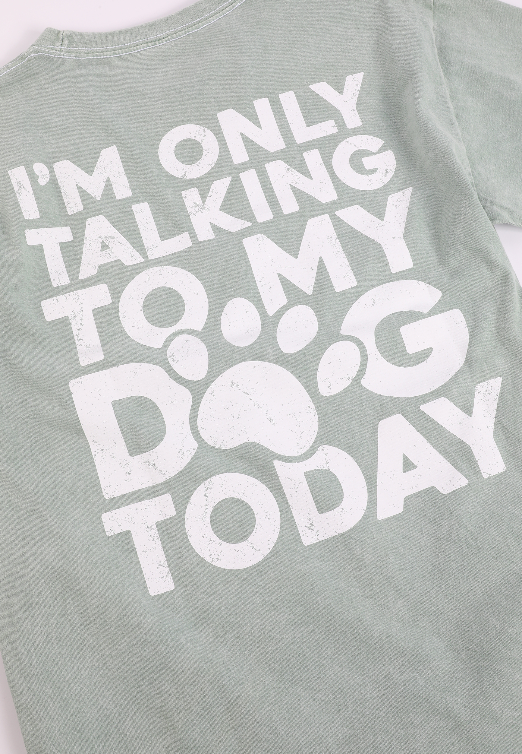 Talk To My Dog Standard Fit Graphic Tee, C9625, large