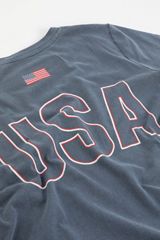 Team USA Classic Fit Graphic Tee, C1206, small