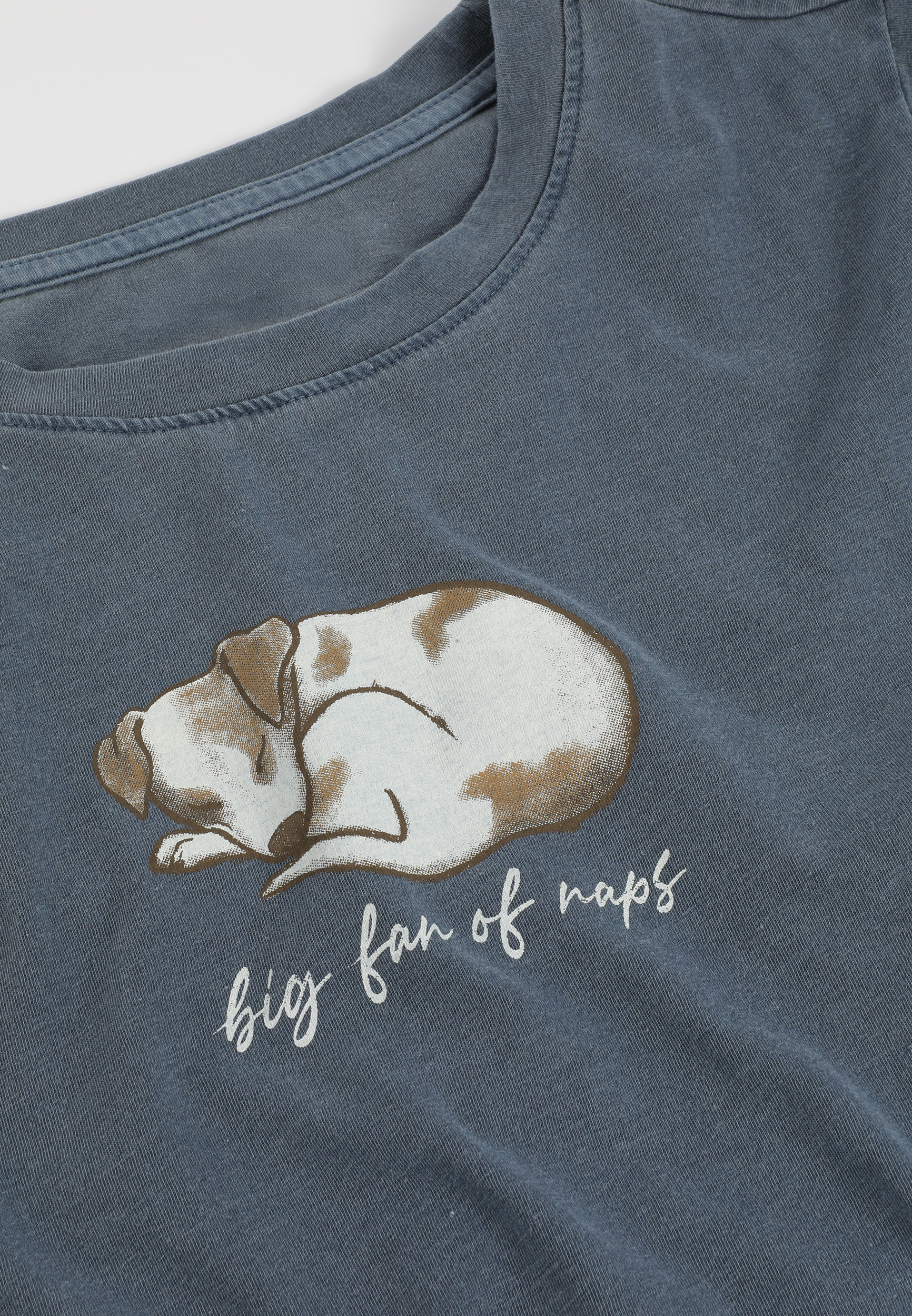 Big Fan Of Naps Classic Fit Graphic Tee, C1387, large