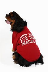 Here For The Snacks Pet Sweatshirt, C485, small