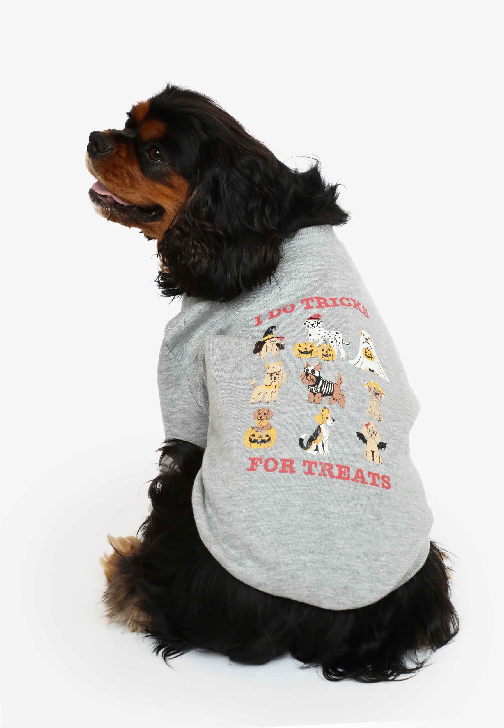 I Do Tricks For Treats Pet Tee