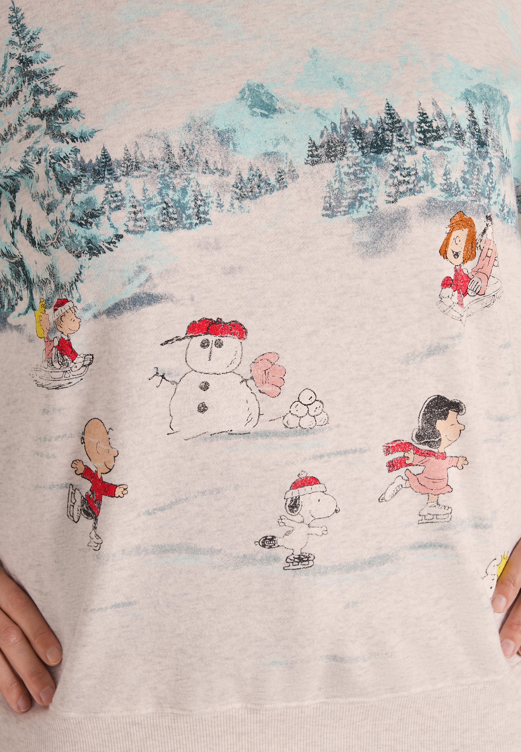 Plus Size Peanuts Holiday Ice Skating Sweatshirt, C3348, large