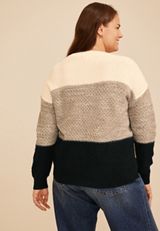 Plus Size Neutral Colorblock Crew Neck Sweater, C1755, small