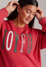 Plus Size Joyful Crewneck Sweatshirt, C7040, small